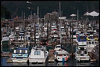 Small boat harbor. Whittier, Alaska, USA (color)
