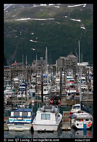 Yachts anchored in small boat harbor. Whittier, Alaska, USA