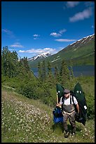 Fisherman hiking out from lake with full gear. Alaska, USA (color)