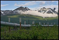 Trans-Alaska Pipeline and mountains. Alaska, USA ( color)