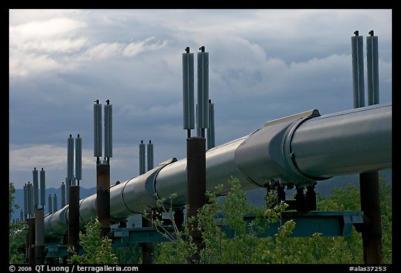 Trans-Alaska Pipeline near Richardson Highway. Alaska, USA