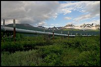 Alyeska Pipeline and mountains. Alaska, USA ( color)