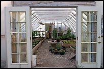 Greenhouse used for vegetable growing. McCarthy, Alaska, USA (color)