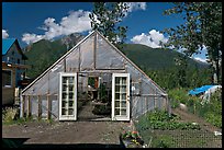 Greenhouse and vegetable garden. McCarthy, Alaska, USA (color)