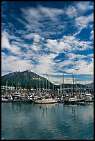 Harbor, mountains and cloud reflections. Seward, Alaska, USA (color)