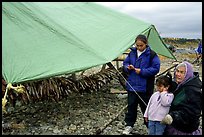 Inupiaq Eskimo family with stand of drying fish, Ambler. North Western Alaska, USA (color)