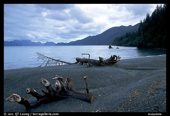 Beach and Resurection Bay at Lowell Point. Seward, Alaska, USA (color)