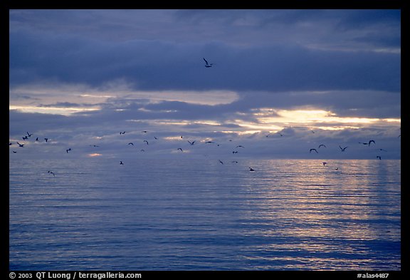Katchemak Bay. Homer, Alaska, USA (color)