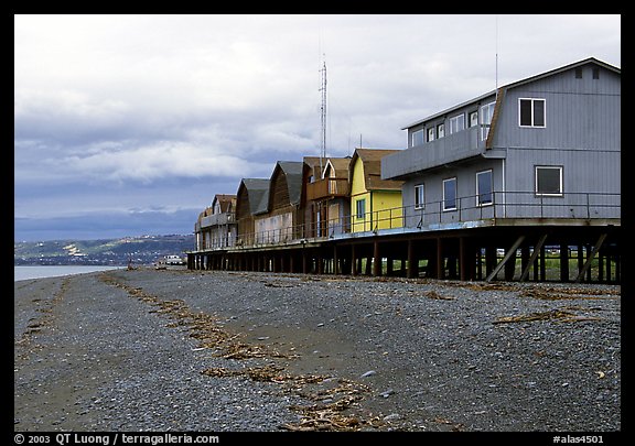 Beach and stilt houses on the Spit. Homer, Alaska, USA