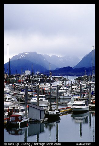 Small Boat Harbor on the Spit with Kenai Mountains in the backgound. Homer, Alaska, USA