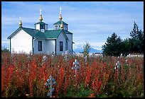 Old orthodox Russian church. Ninilchik, Alaska, USA ( color)