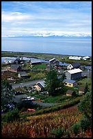 Old village. Ninilchik, Alaska, USA ( color)