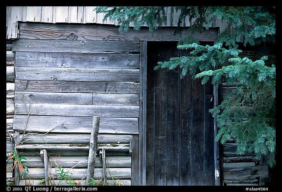 Cabin detail. Hope,  Alaska, USA (color)
