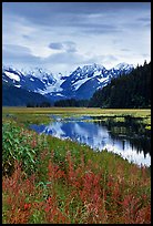Autumn grasses and mountains reflected in a pond near Portage. Seward Highway, Kenai Peninsula, Alaska, USA