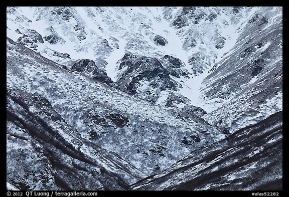 Snowy gullies. Alaska, USA (color)