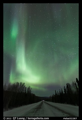 Road with northern lights above. Alaska, USA