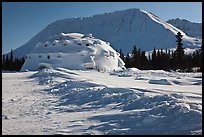 Winter landscape with igloo-shaped building. Alaska, USA