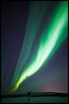 Aurora Borealis streaming above person with outstretched arms. Alaska, USA (color)