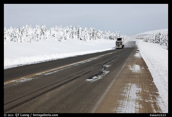 Dalton Highway bordered by snow-covered trees. Alaska, USA