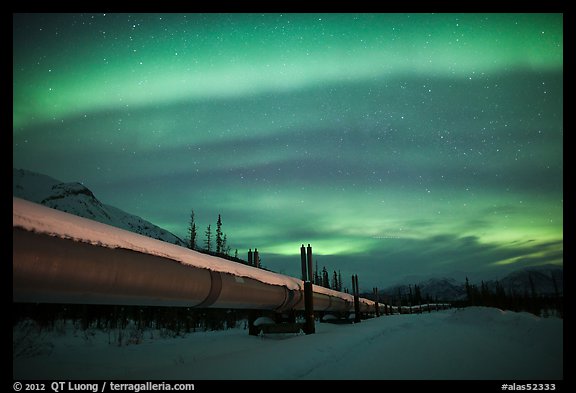 Trans Alaska Oil Pipeline at night with Northern Lights. Alaska, USA