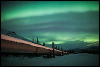 Trans Alaska Oil Pipeline at night with Northern Lights. Alaska, USA (color)