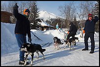 Residents preparing dog sled. Wiseman, Alaska, USA