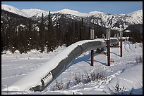 Trans Alaska Oil Pipeline in winter. Alaska, USA