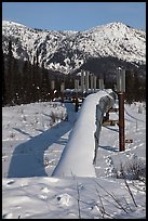 Snow-covered Alaska Oil Pipeline. Alaska, USA (color)