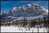 Mount Sukakpak in winter. Alaska, USA