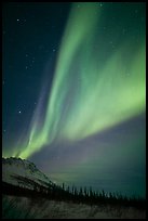 Northern Lights and starry night sky, Brooks Range. Alaska, USA (color)