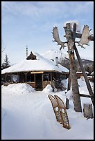 Historic Igloo number 8. Wiseman, Alaska, USA ( color)