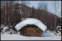 Snow-covered cabin. Wiseman, Alaska, USA (color)