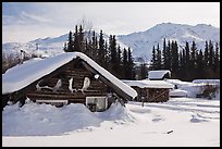 Heavily snow-covered cabins in winter. Wiseman, Alaska, USA ( color)