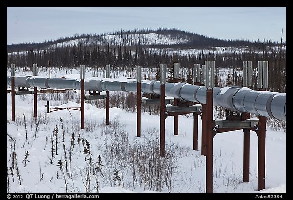Trans Alaska Pipeline in winter. Alaska, USA