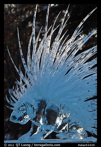 Detail of prize-winning porcupine ice sculpture, 2012 Ice Alaska. Fairbanks, Alaska, USA (color)
