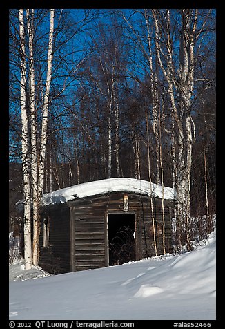 Historic cabin in winter, Chatanika. Alaska, USA