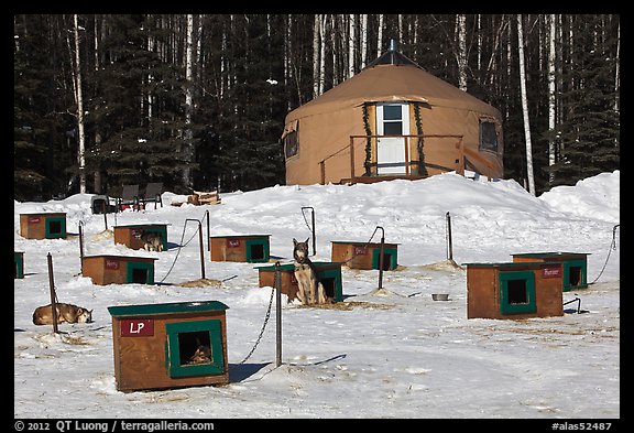 Doghouses and yurt tent. North Pole, Alaska, USA