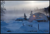 Greenhouse and steam. Chena Hot Springs, Alaska, USA (color)