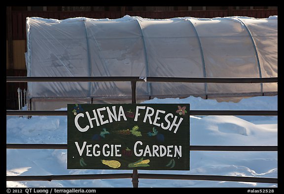 Greehouse used for vegetable production. Chena Hot Springs, Alaska, USA