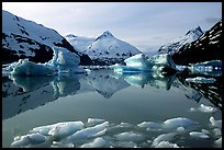 Portage Lake with icebergs. Alaska, USA (color)