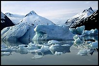 Portage Lake, with icebergs and mountain reflections. Alaska, USA ( color)