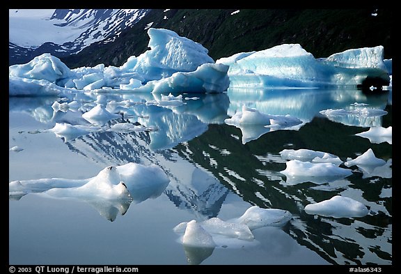 Icebergs and mountain reflections, Portage Lake. Alaska, USA
