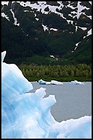 Blue iceberg and Portage Lake. Alaska, USA ( color)