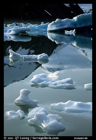 Floating ice and mountain reflections, Portage Lake. Alaska, USA