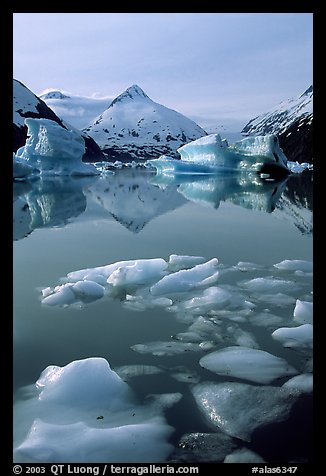 Floating ice in Portage Lake with mountain reflections. Alaska, USA