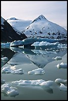 Iceberg-filled Portage Lake. Alaska, USA ( color)