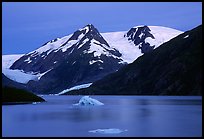 Icebergs in Portage Lake at dusk. Alaska, USA ( color)
