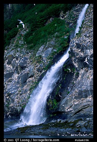 Waterfall and Seabirds. Prince William Sound, Alaska, USA (color)