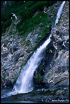 Waterfall and Seabirds. Prince William Sound, Alaska, USA