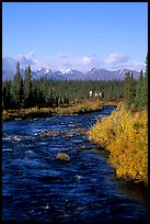 River and cabin, Denali Highway. Alaska, USA ( color)